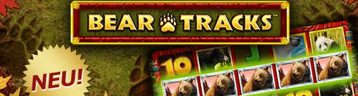 Stargames Bear Track