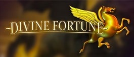 Divine Fortune